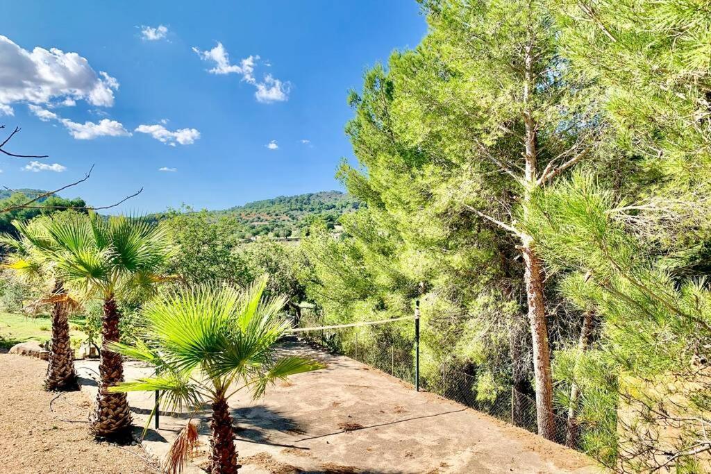 Es Castell de Ca n'Alou de Ses Cases Noves S'Horta Exterior foto